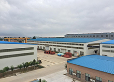 Company Profile